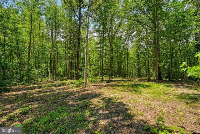 Johnson Rd, Mineral, VA 23117