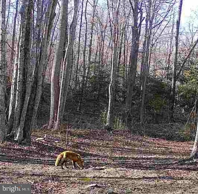 Johnson Rd, Mineral, VA 23117