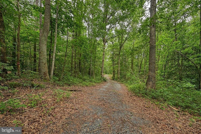 Johnson Rd, Mineral, VA 23117