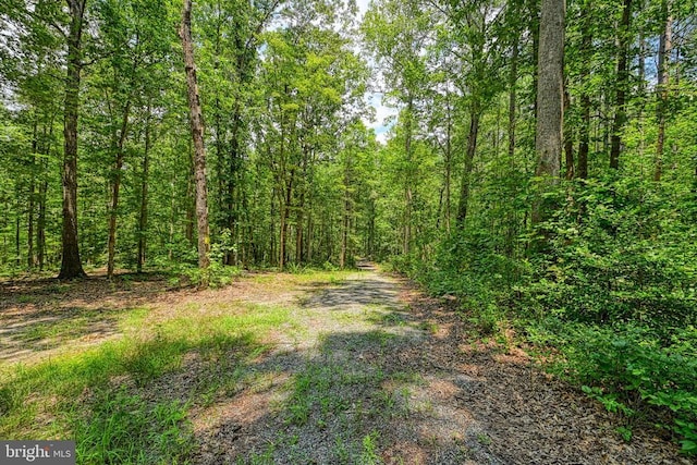 Johnson Rd, Mineral, VA 23117