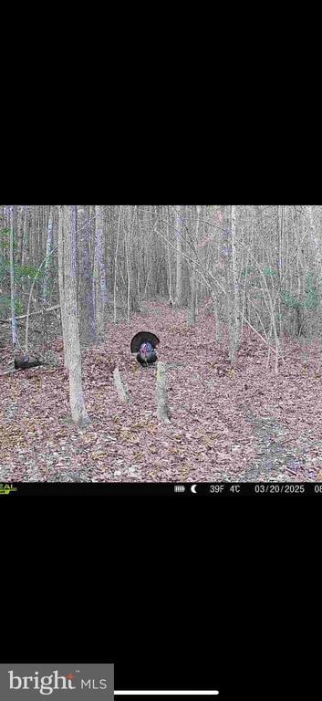 Johnson Rd, Mineral, VA 23117
