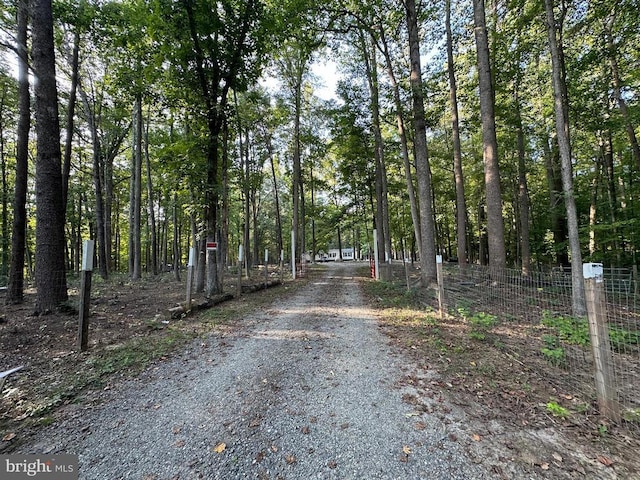 9713 Duerson Ln, Partlow, VA 22534 - photo 18