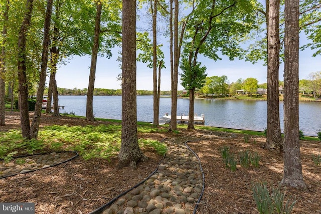 11306 Stonewall Jackson Dr, Spotsylvania, VA 22551 - water view