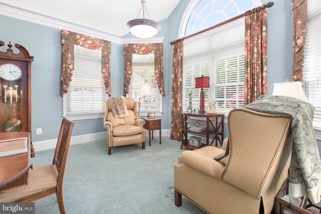 11306 Stonewall Jackson Dr, Spotsylvania, VA 22551 - sitting room with carpet and baseboards