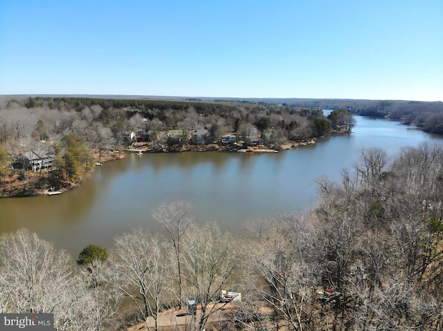 47 Marwood Dr, Palmyra, VA 22963 - bird's eye view featuring a water view