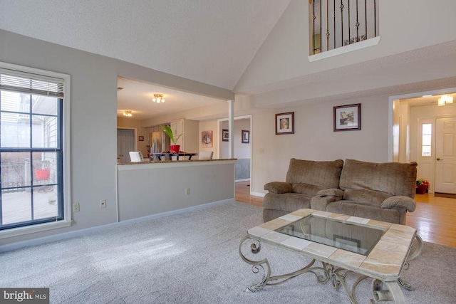 47 Marwood Dr, Palmyra, VA 22963 - carpeted living room with a wealth of natural light, baseboards, and high vaulted ceiling