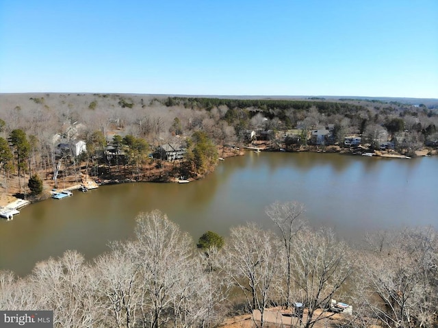 47 Marwood Dr, Palmyra, VA 22963 - drone / aerial view with a water view