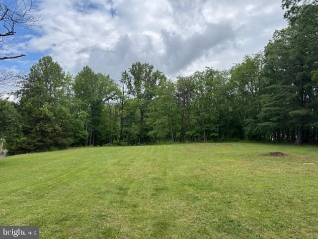 view of green lawn featuring a wooded view