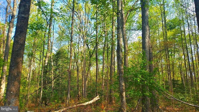Poplar Dr, Louisa, VA 23093 - photo 1