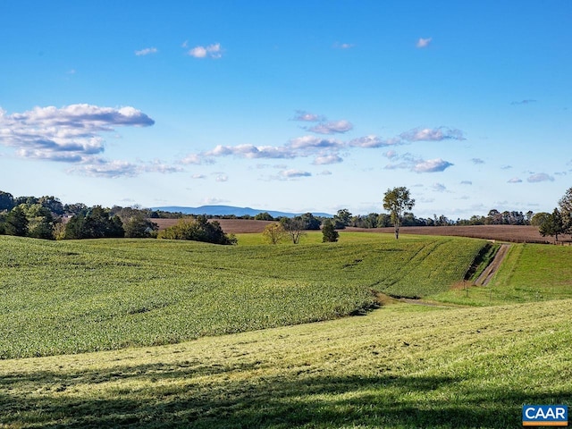 view of yard featuring a rural view