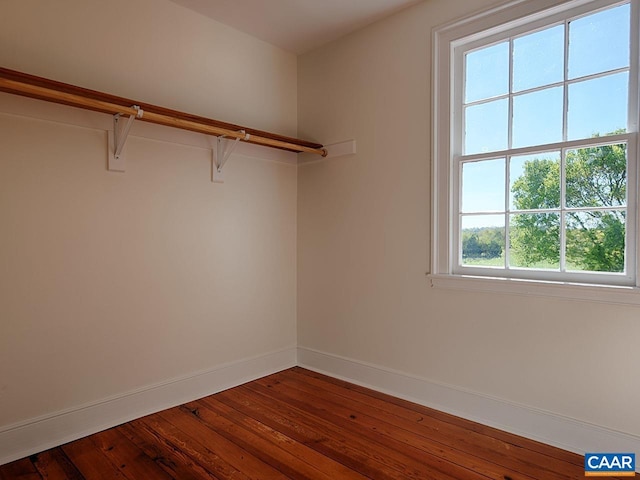 spacious closet featuring wood-type flooring