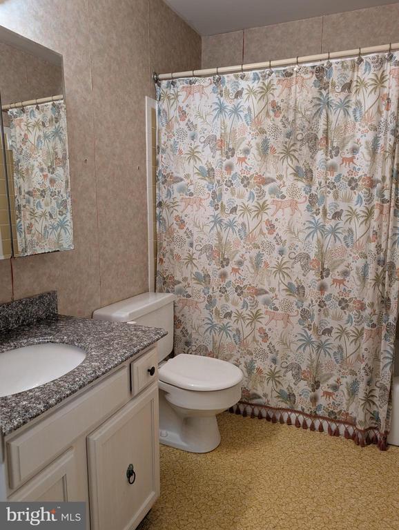  - full bathroom with vanity, toilet, and curtained shower