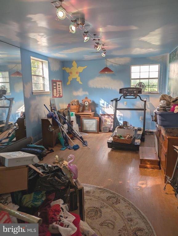  - misc room with hardwood / wood-style flooring, plenty of natural light, and rail lighting