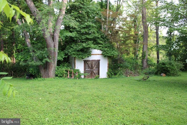  - view of grassy yard