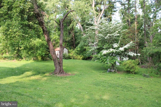  - view of green lawn featuring a wooded view