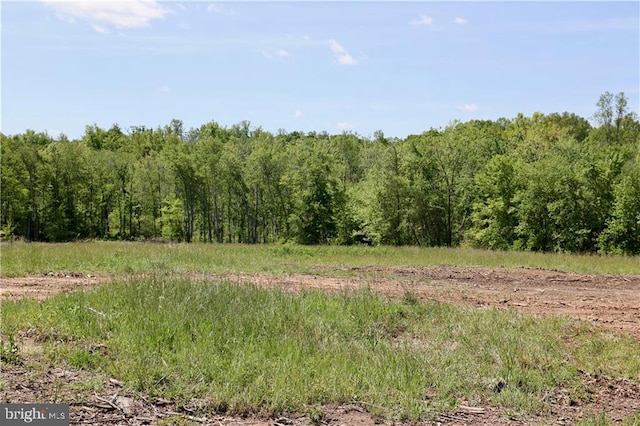 0 Old Apple Grove Rd, Mineral, VA 23117