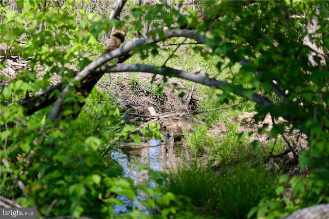 0 Old Apple Grove Rd, Mineral, VA 23117