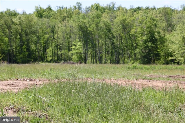 0 Old Apple Grove Rd, Mineral, VA 23117