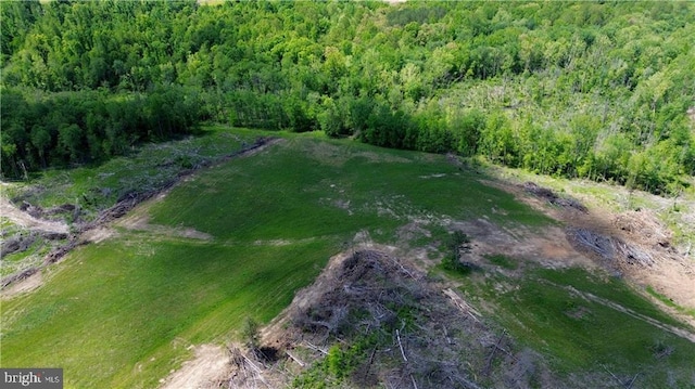 0 Old Apple Grove Rd, Mineral, VA 23117