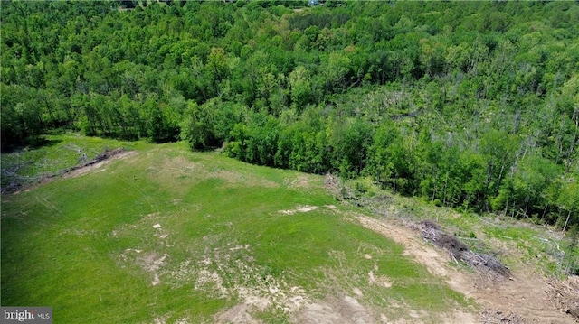 0 Old Apple Grove Rd, Mineral, VA 23117