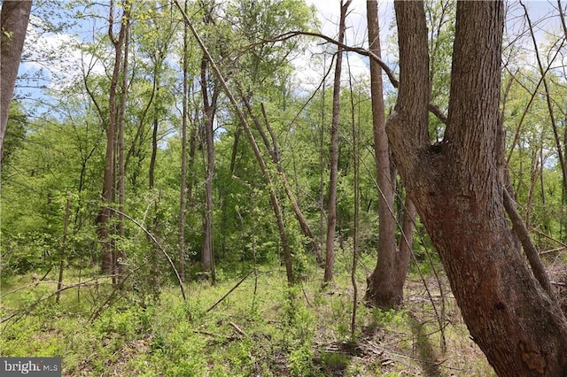 0 Old Apple Grove Rd, Mineral, VA 23117