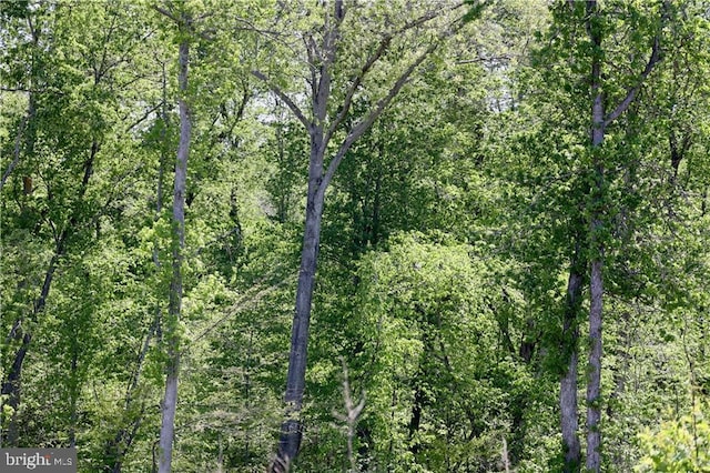 0 Old Apple Grove Rd, Mineral, VA 23117