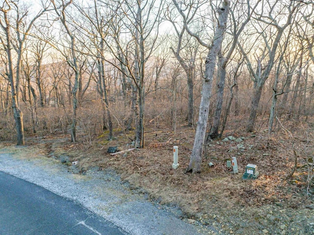 00 Blackrock Cir, Wintergreen Resort, VA 22967