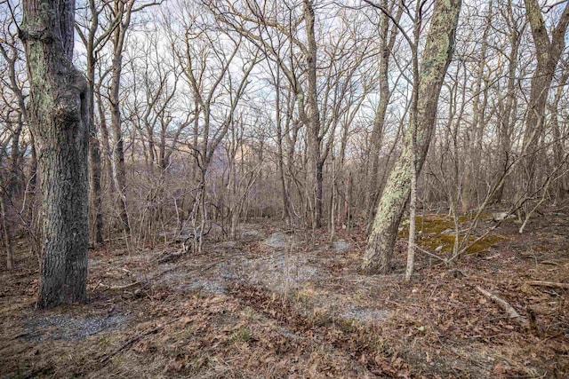 00 Blackrock Cir, Wintergreen Resort, VA 22967