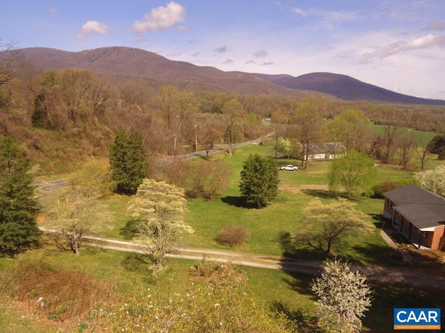 16772 Patrick Henry Hwy, Roseland, VA 22967 - drone / aerial view of mountains