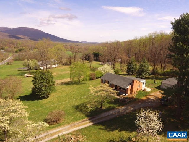 16772 Patrick Henry Hwy, Roseland, VA 22967 - view of rural area with a mountain backdrop