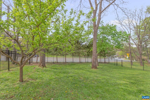 807 Watson Ave, Charlottesville, VA 22901 - view of yard