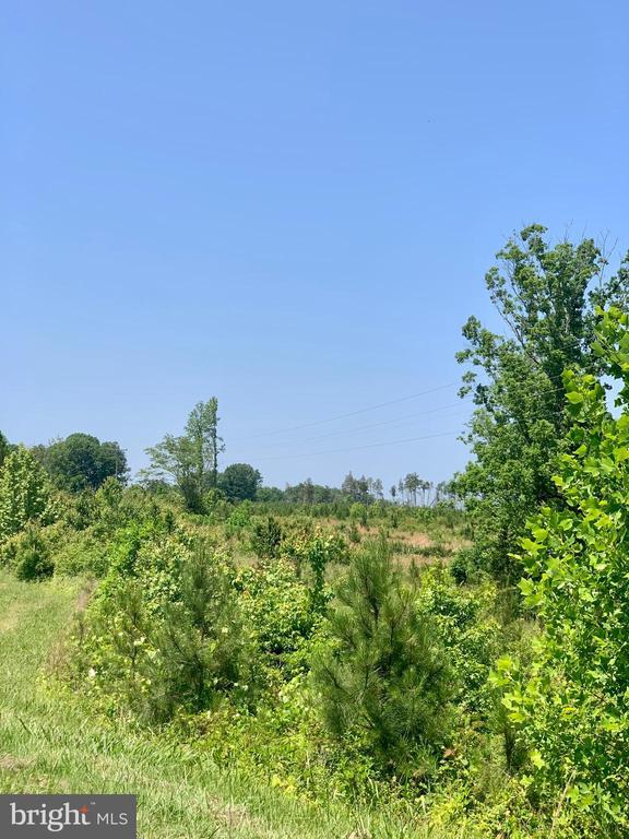 5326 Zachary Taylor Hwy, Mineral, VA 23117 - photo 3