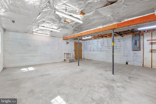 unfinished below grade area with electric panel