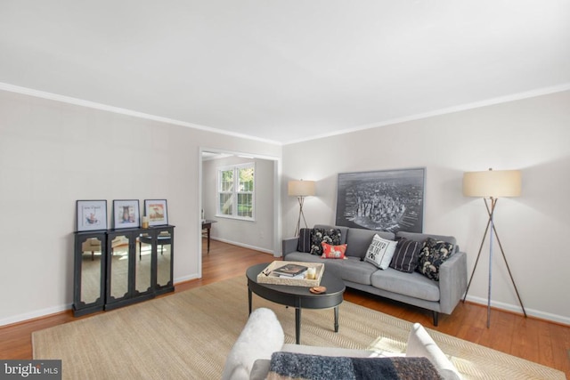 living area with wood finished floors, baseboards, and ornamental molding