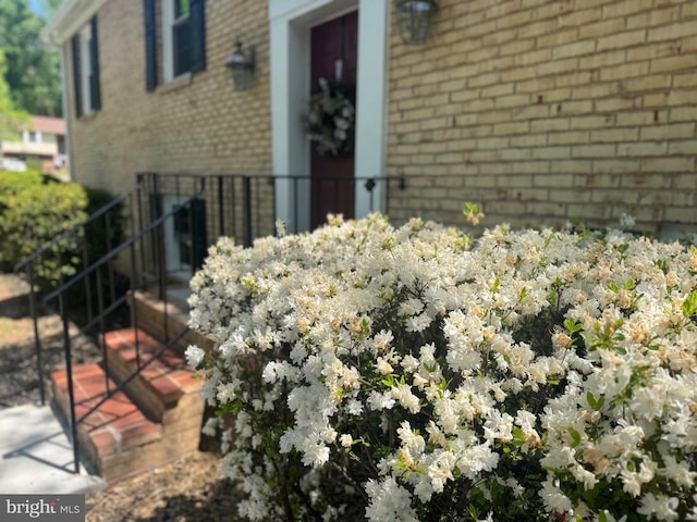 entrance to property featuring brick siding and fence