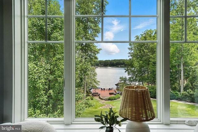 11109 Vanderbilt Cv, Spotsylvania, VA 22551 - doorway featuring a water view and healthy amount of natural light