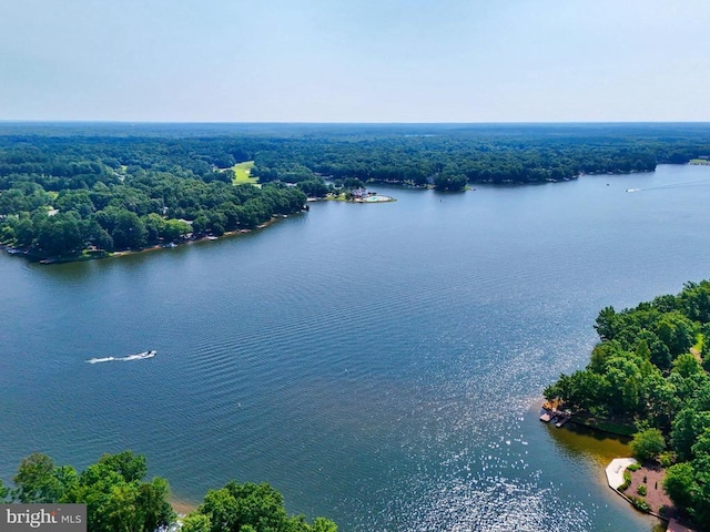 11109 Vanderbilt Cv, Spotsylvania, VA 22551 - aerial view of a nearby body of water