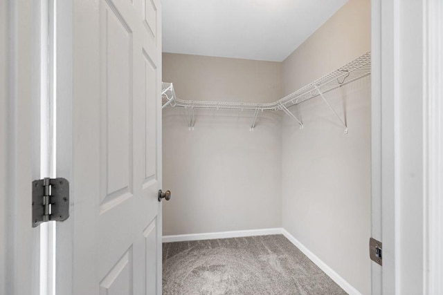 43 Upland Ct, Stuarts Draft, VA 24477 - walk in closet with carpet flooring