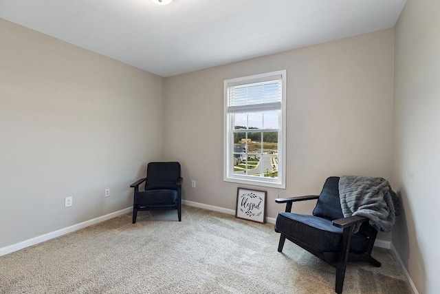 43 Upland Ct, Stuarts Draft, VA 24477 - sitting room with baseboards and carpet flooring