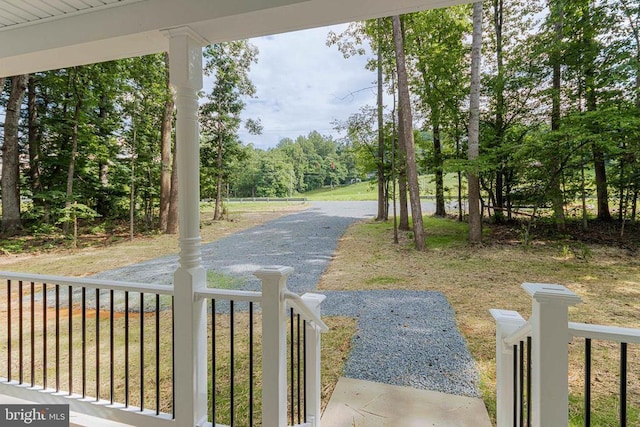 8229 James Monroe Hwy, Culpeper, VA 22701 - photo 9