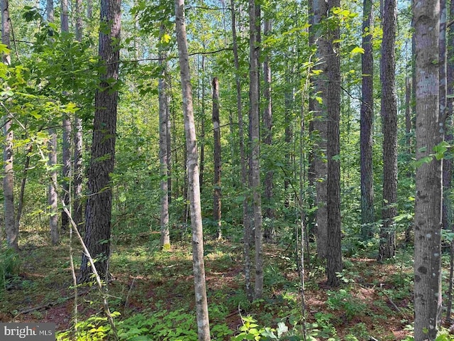 Bannister Town Rd, Tract Dtof Louisa Louisa, VA 23093
