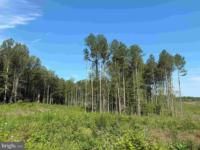 Bannister Town Rd, Tract Dtof Louisa Louisa, VA 23093