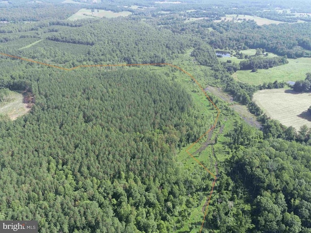 Bannister Town Rd, Tract Dtof Louisa Louisa, VA 23093