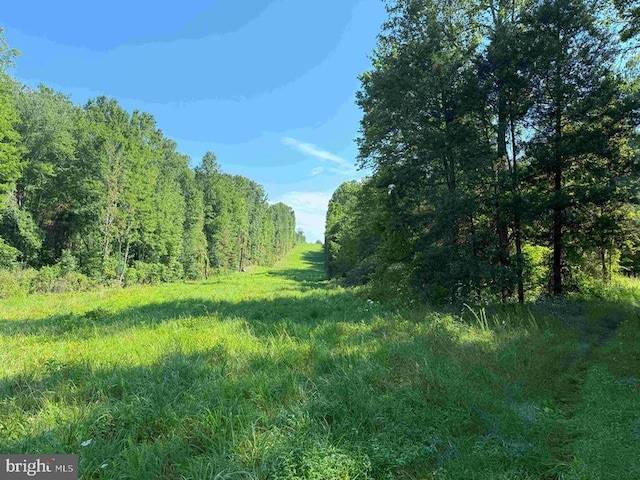 Bannister Town Rd, Tract Dtof Louisa Louisa, VA 23093