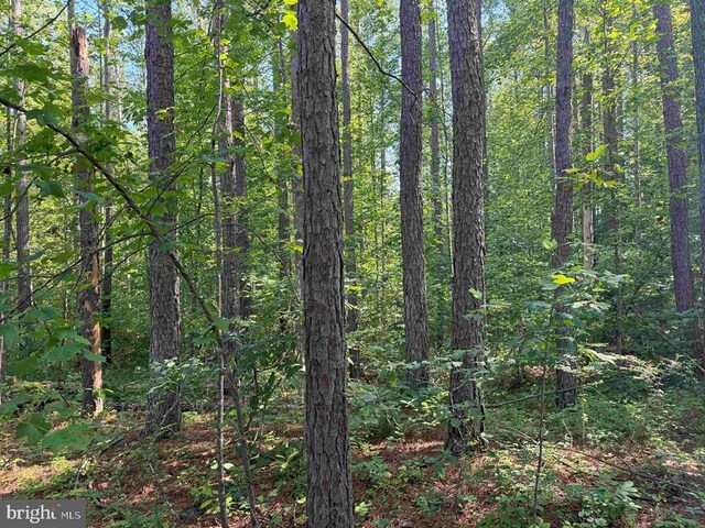 Bannister Town Rd, Tract Dtof Louisa Louisa, VA 23093