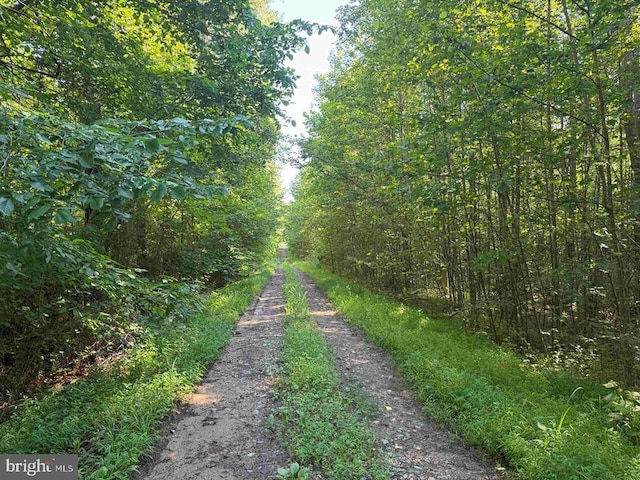 Bannister Town Rd, Tract Dtof Louisa Louisa, VA 23093