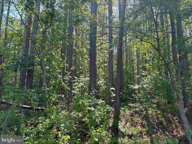 Bannister Town Rd, Tract Dtof Louisa Louisa, VA 23093