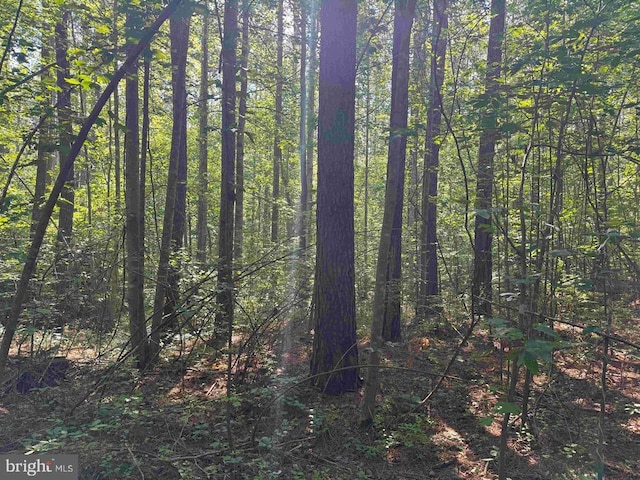Bannister Town Rd, Tract Dtof Louisa Louisa, VA 23093