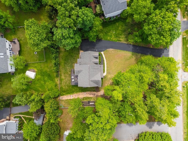 aerial view