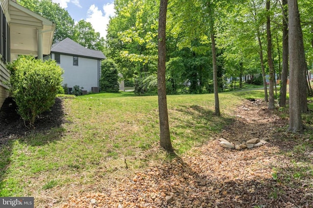 view of green lawn